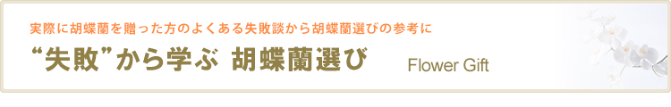 失敗から学ぶ胡蝶蘭選び