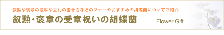 叙勲・褒章の受章祝いの胡蝶蘭