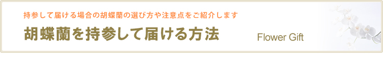 胡蝶蘭を持参して届ける方法