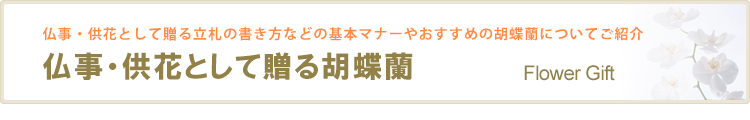 葬儀や三回忌など仏事・供花の贈り方マナー