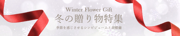 【冬のおすすめ特集】お祝いやイベントにぴったりの花