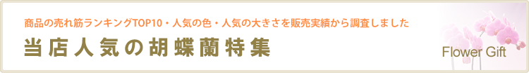 【人気の胡蝶蘭特集】胡蝶蘭園.com実績調べ