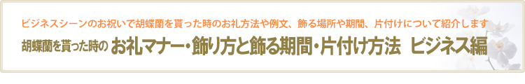 【胡蝶蘭を貰った方向け：ビジネス編】お礼マナー・飾り方と期間・片付け方法