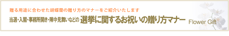 当選・入閣祝いなどの選挙に関する祝いの贈り方マナー