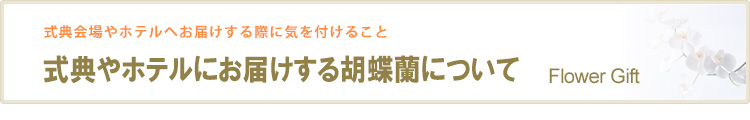 式典やホテルにお届けする胡蝶蘭について