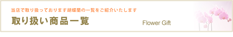 商品一覧 (価格表)