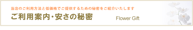 ご利用案内・安さの秘密