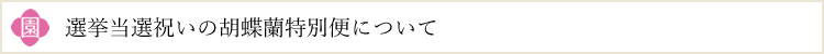 選挙当選祝いの胡蝶蘭特別便について