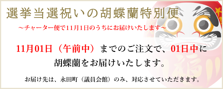 選挙当選祝いの胡蝶蘭特別便