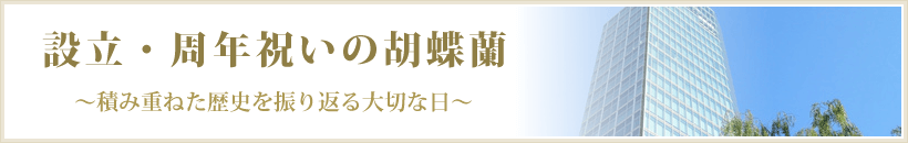 設立・周年祝いの胡蝶蘭