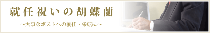 就任  /></div>
<hr class=