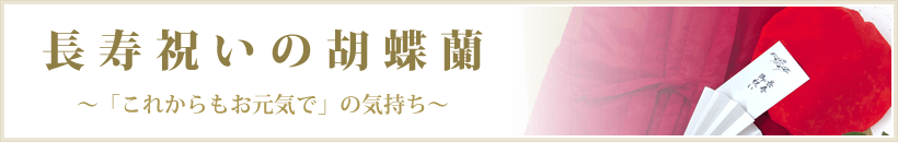 長寿  /></div>
<hr class=