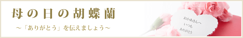 毺 /></div>
<hr class=
