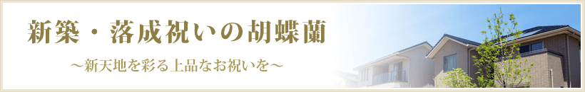 築・D  /></div>
<hr class=