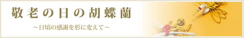 耢 /></div>
<hr class=