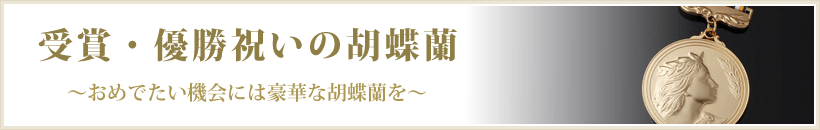 楢